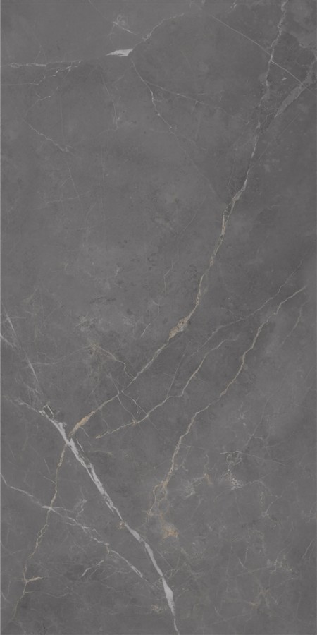 Керамогранит Eurotile дарк 296 Флора матовая черный 120x60 9.5мм Керамогранит Eurotile дарк 296 Флора матовая черный 120x60 9.5мм
