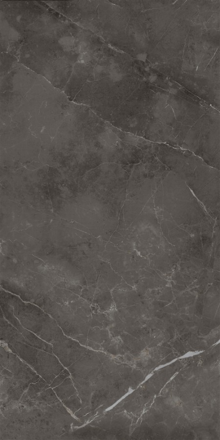 Керамогранит Eurotile 458 Флора полированная 120x60 9.5мм Керамогранит Eurotile 458 Флора полированная 120x60 9.5мм