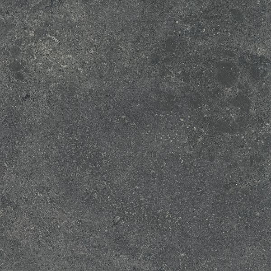 Плитка Lafaenza Algar6 60Dg Rm Algar660Dgrm 60x60 7мм матовая Плитка Lafaenza Algar6 60Dg Rm Algar660Dgrm 60x60 7мм матовая