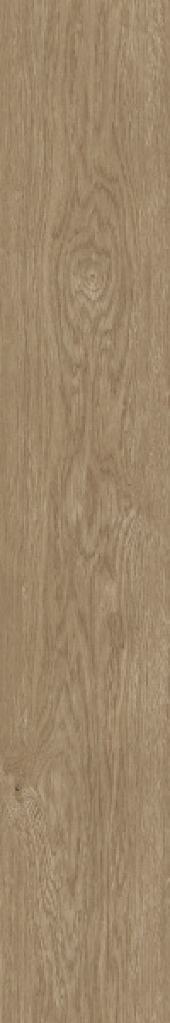 Керамогранит универсальная fTJM Plein Air Nut Matt R9 RT матовая коричневый 120x20 9.5мм Fap Ceramiche Керамогранит универсальная fTJM Plein Air Nut Matt R9 RT матовая коричневый 120x20 9.5мм Fap Ceramiche