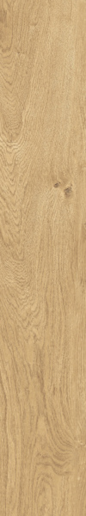 Керамогранит универсальная fTJK Plein Air Gold Matt R9 RT матовая бежевый 120x20 9.5мм Fap Ceramiche Керамогранит универсальная fTJK Plein Air Gold Matt R9 RT матовая бежевый 120x20 9.5мм Fap Ceramiche