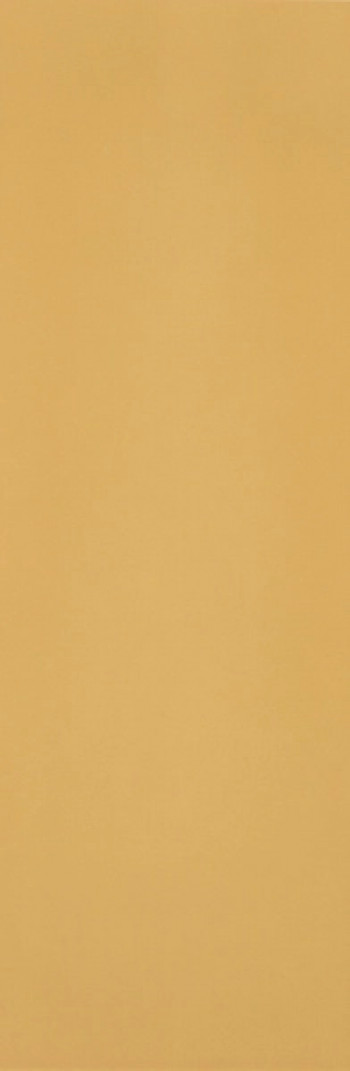 Плитка 120x60 8.5мм fTXJ Materia Pura Ocra Brillante RT глянцевая Fap Ceramiche Плитка 120x60 8.5мм fTXJ Materia Pura Ocra Brillante RT глянцевая Fap Ceramiche
