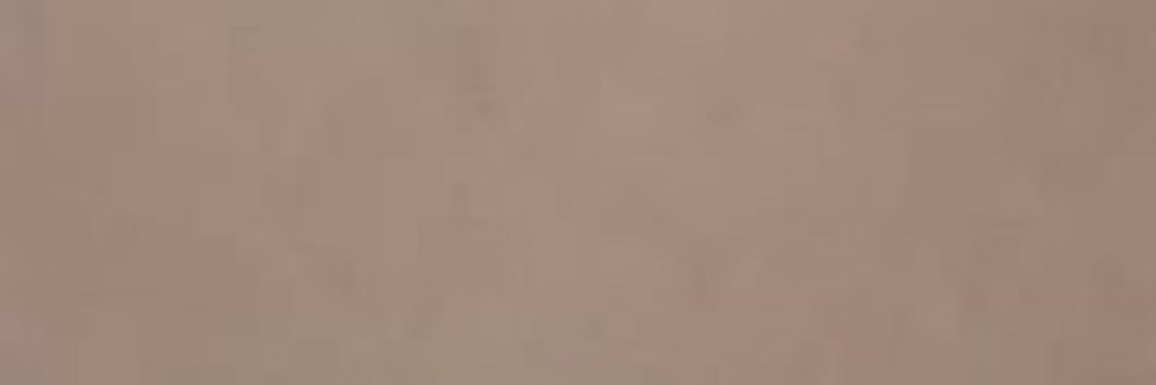 Плитка Fap Ceramiche 92x31 9мм Color Now Fango Fmrr коричневый Плитка Fap Ceramiche 92x31 9мм Color Now Fango Fmrr коричневый