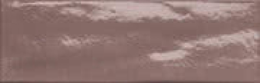 Плитка Fap Ceramiche 30x10 9мм Manhattan Vintage Fklu коричневый Плитка Fap Ceramiche 30x10 9мм Manhattan Vintage Fklu коричневый