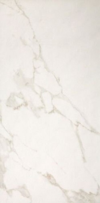 Плитка Fap Ceramiche 120x50 9мм Roma 50 Calacatta Fpp5 матовая белый мрамор Плитка Fap Ceramiche 120x50 9мм Roma 50 Calacatta Fpp5 матовая белый мрамор