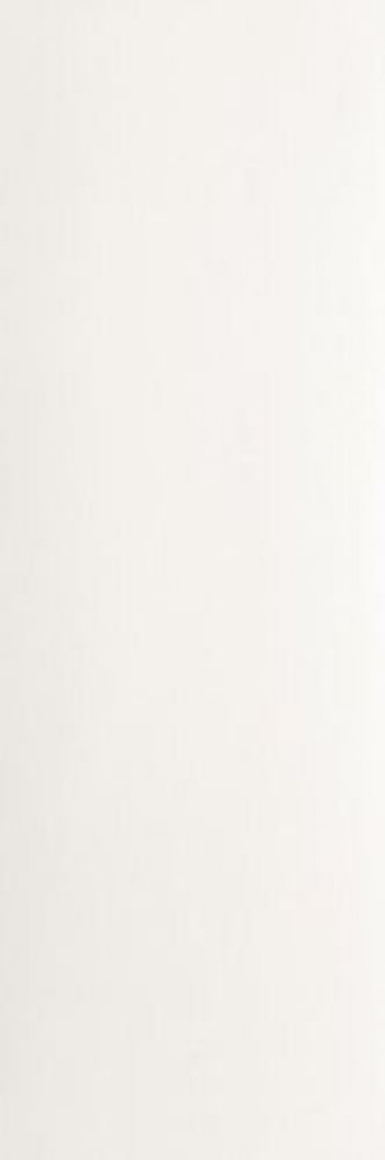 Плитка Fap Ceramiche Lumina 91,5 White Super Matt Fol1 92x31 матовая белый однотонная Плитка Fap Ceramiche Lumina 91,5 White Super Matt Fol1 92x31 матовая белый однотонная