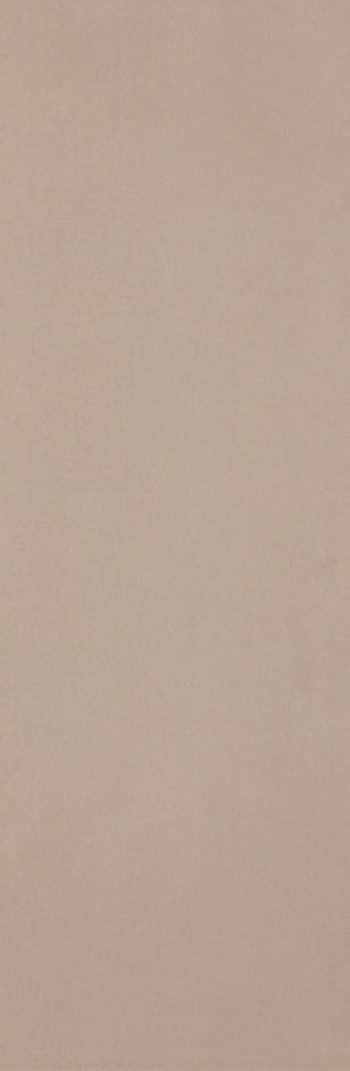 Плитка Fap Ceramiche Materia Pura Tortora Brillante Ftxi 92x31 Плитка Fap Ceramiche Materia Pura Tortora Brillante Ftxi 92x31