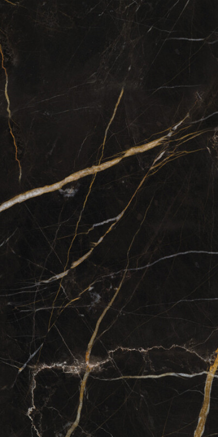 Плитка Keope Ceramiche Elements Lux Port Laurent 60X120Nat 25A2 черный мрамор 120x60 9мм Плитка Keope Ceramiche Elements Lux Port Laurent 60X120Nat 25A2 черный мрамор 120x60 9мм
