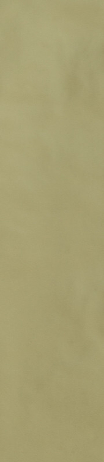Плитка Casa Dolce Casa Sensi Colore Salvia Glossy 786011 зеленый однотонная, краска, штукатурка 23x6 9мм Плитка Casa Dolce Casa Sensi Colore Salvia Glossy 786011 зеленый однотонная, краска, штукатурка 23x6 9мм