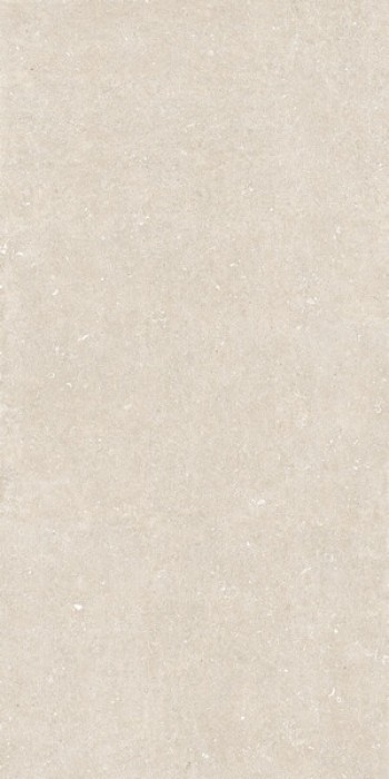 Плитка Casa Dolce Casa Rinascenza Arena Bianco Matte 785582 240x120 6мм матовая Плитка Casa Dolce Casa Rinascenza Arena Bianco Matte 785582 240x120 6мм матовая