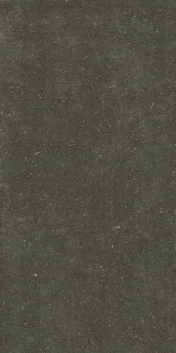 Плитка Casa Dolce Casa Rinascenza Arena Platino Matte 785585 240x120 6мм матовая Плитка Casa Dolce Casa Rinascenza Arena Platino Matte 785585 240x120 6мм матовая