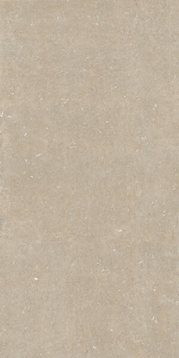 Плитка Casa Dolce Casa Rinascenza Arena Conchiglia Matte 785583 240x120 6мм матовая Плитка Casa Dolce Casa Rinascenza Arena Conchiglia Matte 785583 240x120 6мм матовая