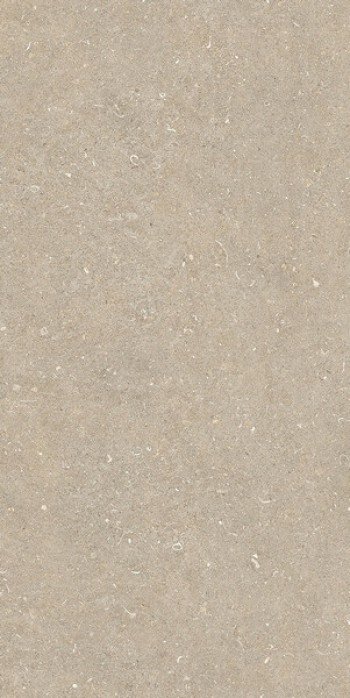 Плитка Casa Dolce Casa Rinascenza Arena Conchiglia Matte 785575 120x60 6мм матовая Плитка Casa Dolce Casa Rinascenza Arena Conchiglia Matte 785575 120x60 6мм матовая