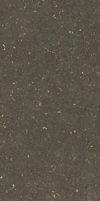 Плитка Casa Dolce Casa Rinascenza Arena Platino Grip Ret 785495 120x60 9мм Плитка Casa Dolce Casa Rinascenza Arena Platino Grip Ret 785495 120x60 9мм