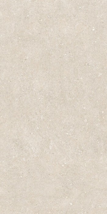 Плитка Casa Dolce Casa Rinascenza Arena Bianco Matte 785574 120x60 6мм матовая Плитка Casa Dolce Casa Rinascenza Arena Bianco Matte 785574 120x60 6мм матовая