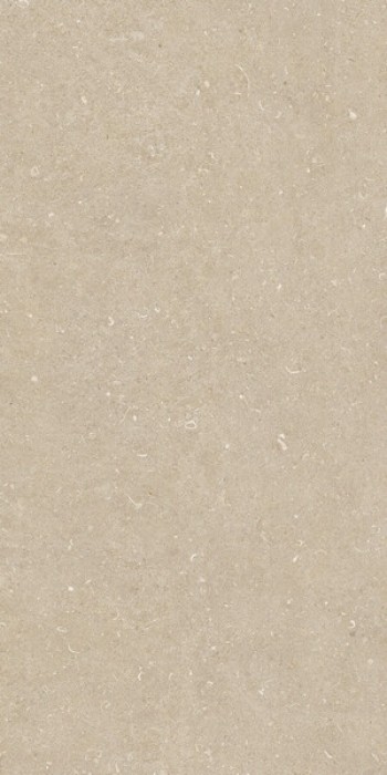 Плитка Casa Dolce Casa Rinascenza Arena Conchiglia Matte Ret 785481 120x60 9мм матовая Плитка Casa Dolce Casa Rinascenza Arena Conchiglia Matte Ret 785481 120x60 9мм матовая