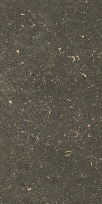 Плитка Casa Dolce Casa Rinascenza Arena Platino Matte Ret 785491 60x30 9мм матовая Плитка Casa Dolce Casa Rinascenza Arena Platino Matte Ret 785491 60x30 9мм матовая