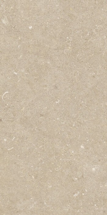 Плитка Casa Dolce Casa Rinascenza Arena Conchiglia Grip Ret 785501 60x30 9мм Плитка Casa Dolce Casa Rinascenza Arena Conchiglia Grip Ret 785501 60x30 9мм