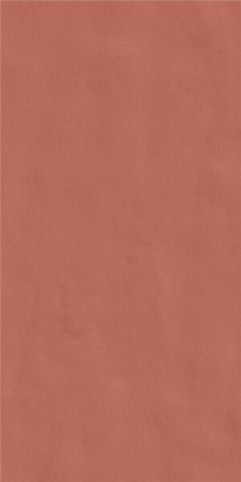 Плитка Casa Dolce Casa Neutra 60 14 Arancio 120X240Ret 752899 240x120 6мм Плитка Casa Dolce Casa Neutra 60 14 Arancio 120X240Ret 752899 240x120 6мм