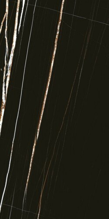 Плитка Casa Dolce Casa Stone Sahara Noir Glossy Ret 752806 240x120 6мм глянцевая черный мрамор Плитка Casa Dolce Casa Stone Sahara Noir Glossy Ret 752806 240x120 6мм глянцевая черный мрамор