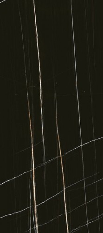 Плитка Casa Dolce Casa Stones 20 Sahara Noir Glossy Ret 752797 180x80 9мм глянцевая черный мрамор Плитка Casa Dolce Casa Stones 20 Sahara Noir Glossy Ret 752797 180x80 9мм глянцевая черный мрамор