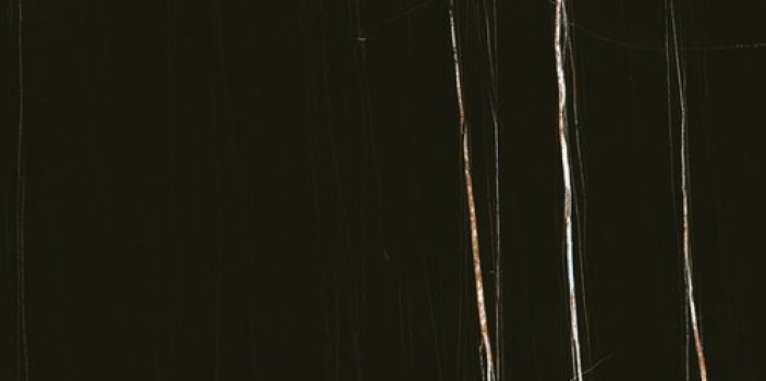 Плитка Casa Dolce Casa Stone Sahara Noir Glossy Ret 752804 120x60 6мм глянцевая черный Плитка Casa Dolce Casa Stone Sahara Noir Glossy Ret 752804 120x60 6мм глянцевая черный