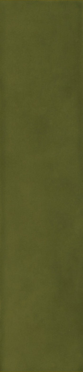 Плитка Casa Dolce Casa Sensi Colore Muschio Glossy 786012 23x6 9мм Плитка Casa Dolce Casa Sensi Colore Muschio Glossy 786012 23x6 9мм