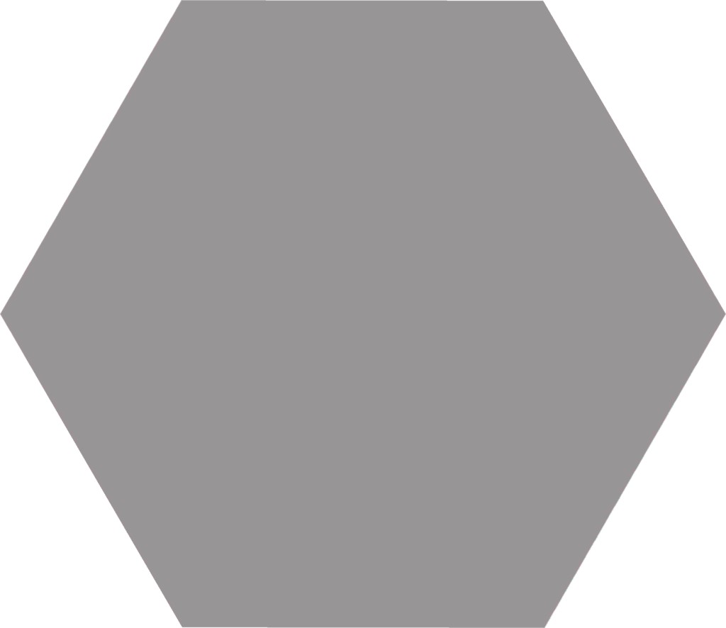 Керамогранит 25x22 Basic Grey Hex25 Codicer 95 Керамогранит 25x22 Basic Grey Hex25 Codicer 95