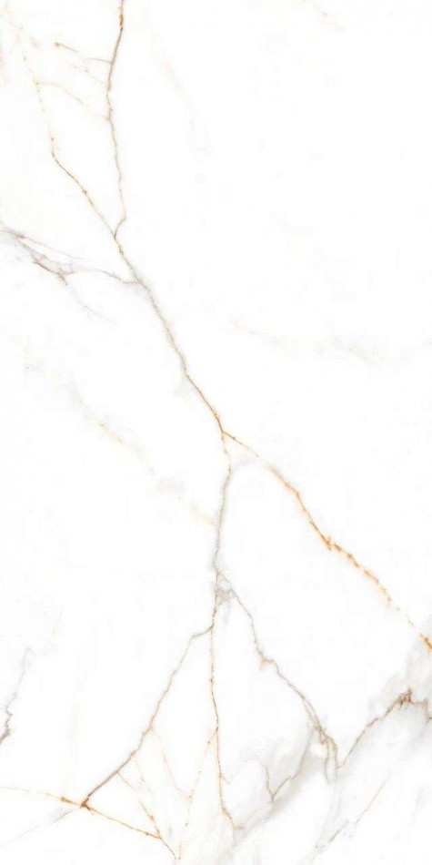 Керамогранит Belleza 120x60 Austrain NATURAL GLOSSY глянцевая белый Керамогранит Belleza 120x60 Austrain NATURAL GLOSSY глянцевая белый