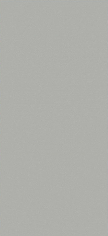 Керамогранит Belleza 120x60 Eva GREY CARVING матовая, структурированная, карвинг серый Керамогранит Belleza 120x60 Eva GREY CARVING матовая, структурированная, карвинг серый