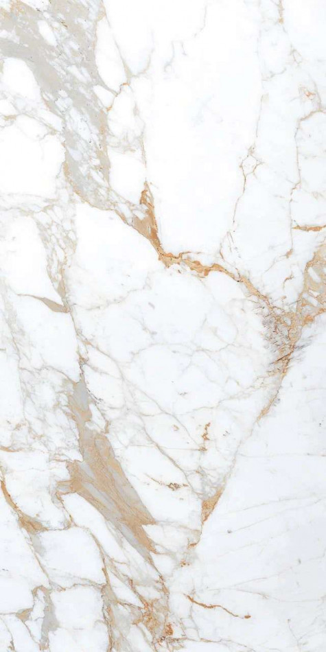 Керамогранит Belleza 120x60 Roman BROWN AUTHENTIC глянцевая белый Керамогранит Belleza 120x60 Roman BROWN AUTHENTIC глянцевая белый