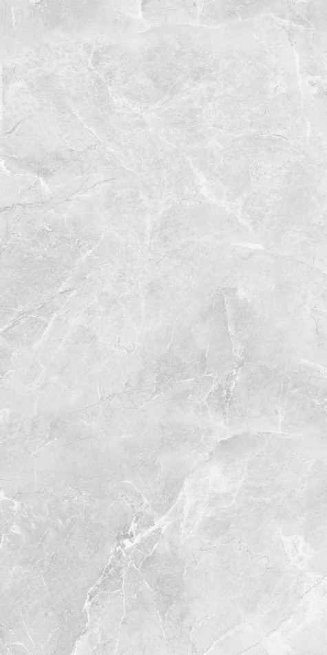 Керамогранит Belleza 120x60 Ambition CR SILVER CARVING матовая, структурированная, карвинг светло-серый Керамогранит Belleza 120x60 Ambition CR SILVER CARVING матовая, структурированная, карвинг светло-серый