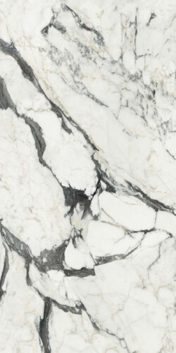 Плитка Rex Ceramiche Bijoux Calacatta Altissimo Blanc Glossy R 765697 глянцевая белый мрамор 280x120 6мм Плитка Rex Ceramiche Bijoux Calacatta Altissimo Blanc Glossy R 765697 глянцевая белый мрамор 280x120 6мм