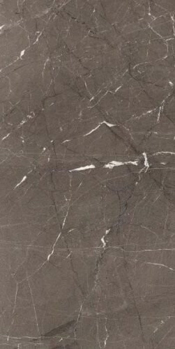 Плитка Rex Ceramiche Heritage Luxe Brown Glossy Ret 774851 глянцевая темно-серый мрамор 120x60 6мм Плитка Rex Ceramiche Heritage Luxe Brown Glossy Ret 774851 глянцевая темно-серый мрамор 120x60 6мм