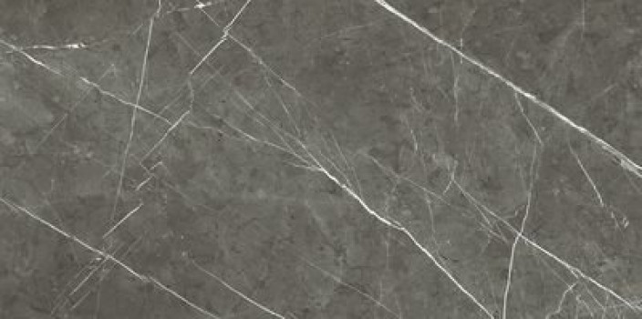 Плитка Rex Ceramiche Prexious Rex Charming Amber Mat R 755835 матовая темно-серый мрамор 120x60 9мм Плитка Rex Ceramiche Prexious Rex Charming Amber Mat R 755835 матовая темно-серый мрамор 120x60 9мм
