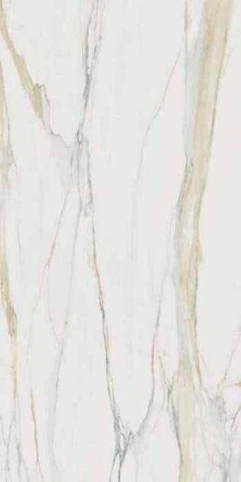 Плитка Rex Ceramiche 240x120 6мм I Classici Calacatta Gold Glossy R 750682 белый Плитка Rex Ceramiche 240x120 6мм I Classici Calacatta Gold Glossy R 750682 белый