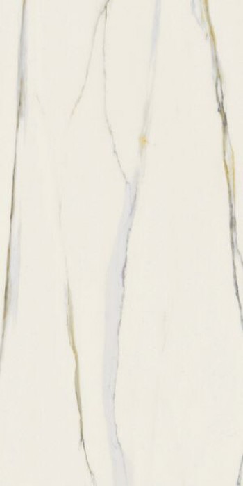 Плитка Rex Ceramiche 120x60 9мм I Classici Calacatta Gold Glossy R 750714 глянцевая белый мрамор Плитка Rex Ceramiche 120x60 9мм I Classici Calacatta Gold Glossy R 750714 глянцевая белый мрамор