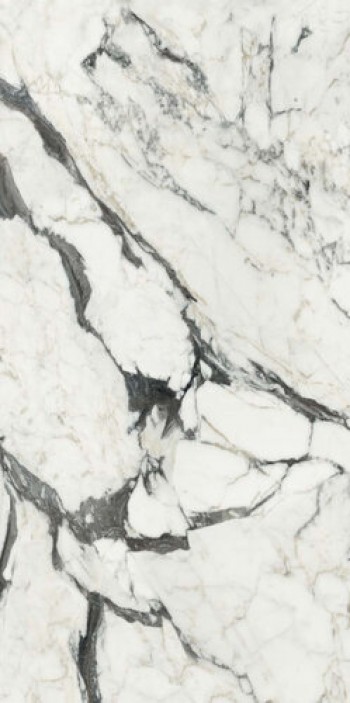 Плитка Rex Ceramiche Bijoux Calacatta Altissimo Blanc Glossy Ret 766330 глянцевая белый мрамор 120x60 9мм Плитка Rex Ceramiche Bijoux Calacatta Altissimo Blanc Glossy Ret 766330 глянцевая белый мрамор 120x60 9мм