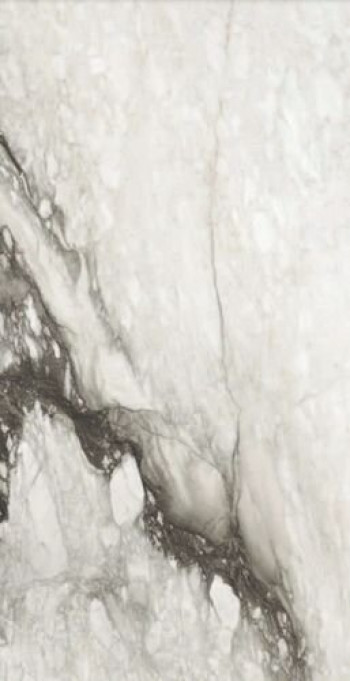 Плитка Rex Ceramiche Etoile Renoir Glossy Ret 761737 240x120 6мм глянцевая белый мрамор Плитка Rex Ceramiche Etoile Renoir Glossy Ret 761737 240x120 6мм глянцевая белый мрамор