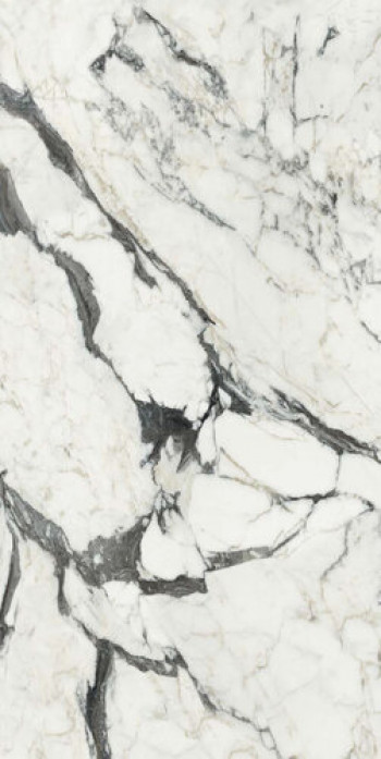 Плитка Rex Ceramiche Bijoux Calac Altissimo Glossy R 765721 240x120 6мм глянцевая белый мрамор Плитка Rex Ceramiche Bijoux Calac Altissimo Glossy R 765721 240x120 6мм глянцевая белый мрамор