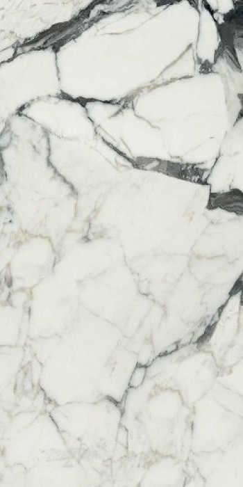 Плитка Rex Ceramiche Bijoux Calac Altissimo Glossy R 765781 120x60 6мм глянцевая белый мрамор Плитка Rex Ceramiche Bijoux Calac Altissimo Glossy R 765781 120x60 6мм глянцевая белый мрамор