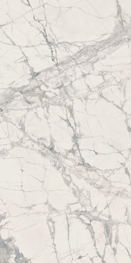 Плитка Rex Ceramiche Prexious Rex Mountain Treasure Glossy 60X120R 755844 120x60 9мм глянцевая белый мрамор Плитка Rex Ceramiche Prexious Rex Mountain Treasure Glossy 60X120R 755844 120x60 9мм глянцевая белый мрамор