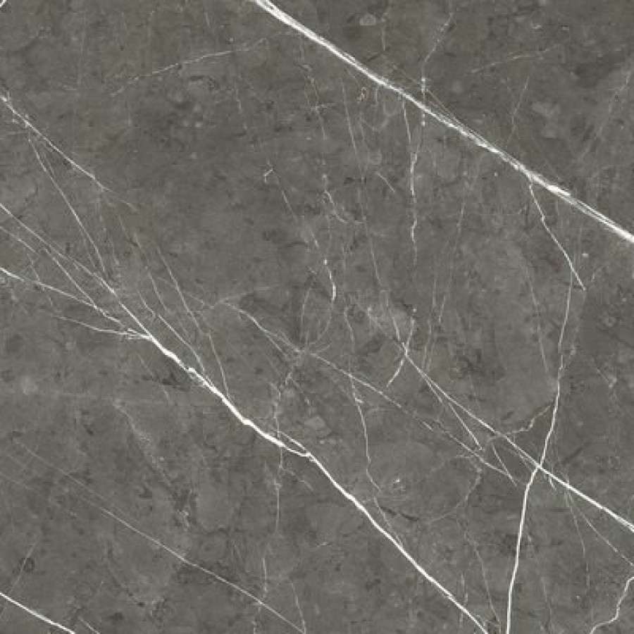 Плитка Rex Ceramiche Prexious Rex Charming Amber Mat R 755863 60x60 9мм матовая темно-серый мрамор Плитка Rex Ceramiche Prexious Rex Charming Amber Mat R 755863 60x60 9мм матовая темно-серый мрамор
