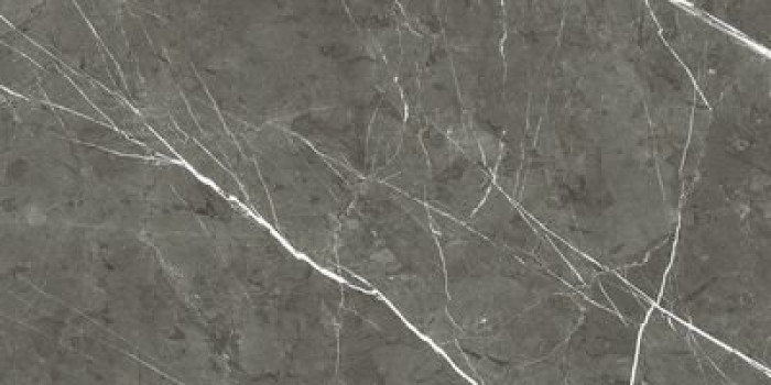 Плитка Rex Ceramiche Prexious Rex Charming Amber Mat R 755876 60x30 9мм матовая темно-серый мрамор Плитка Rex Ceramiche Prexious Rex Charming Amber Mat R 755876 60x30 9мм матовая темно-серый мрамор