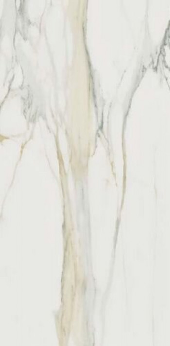 Плитка Rex Ceramiche I Classici Calacatta Gold Matte R 753293 120x60 6мм белый Плитка Rex Ceramiche I Classici Calacatta Gold Matte R 753293 120x60 6мм белый