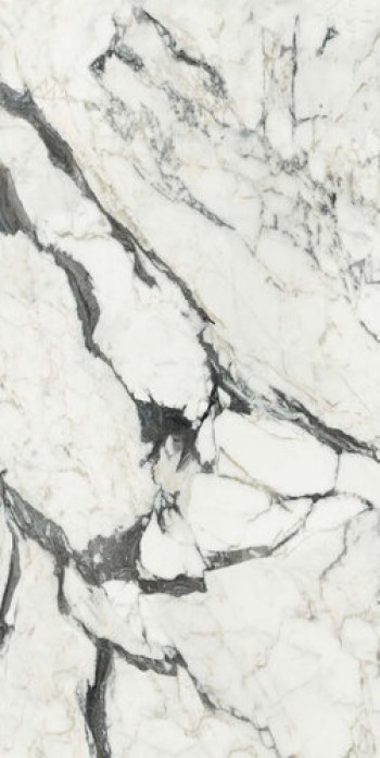 Плитка Rex Ceramiche 240x120 6мм Bijoux Calacatta Altissimo Blanc Glossy R 765721 глянцевая белый мрамор Плитка Rex Ceramiche 240x120 6мм Bijoux Calacatta Altissimo Blanc Glossy R 765721 глянцевая белый мрамор