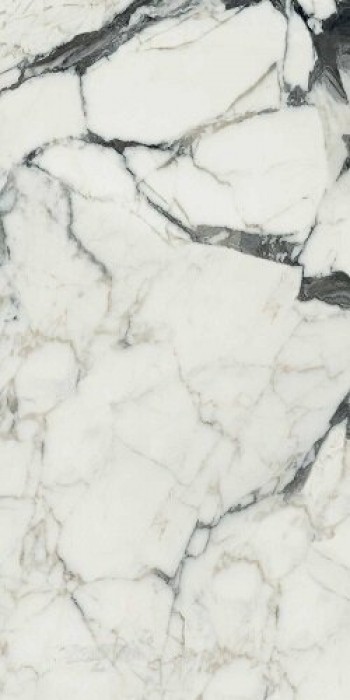 Плитка Rex Ceramiche 120x60 6мм Bijoux Calacatta Altissimo Blanc Glossy R 765781 глянцевая белый мрамор Плитка Rex Ceramiche 120x60 6мм Bijoux Calacatta Altissimo Blanc Glossy R 765781 глянцевая белый мрамор