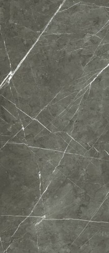 Плитка Rex Ceramiche 280x120 6мм Prexious Charming Amber Mat Ret 757733 матовая темно-серый мрамор Плитка Rex Ceramiche 280x120 6мм Prexious Charming Amber Mat Ret 757733 матовая темно-серый мрамор