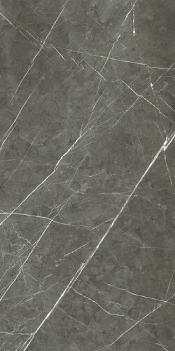 Плитка Rex Ceramiche 240x120 6мм Prexious Charming Amber Mat Ret 756294 матовая темно-серый мрамор Плитка Rex Ceramiche 240x120 6мм Prexious Charming Amber Mat Ret 756294 матовая темно-серый мрамор