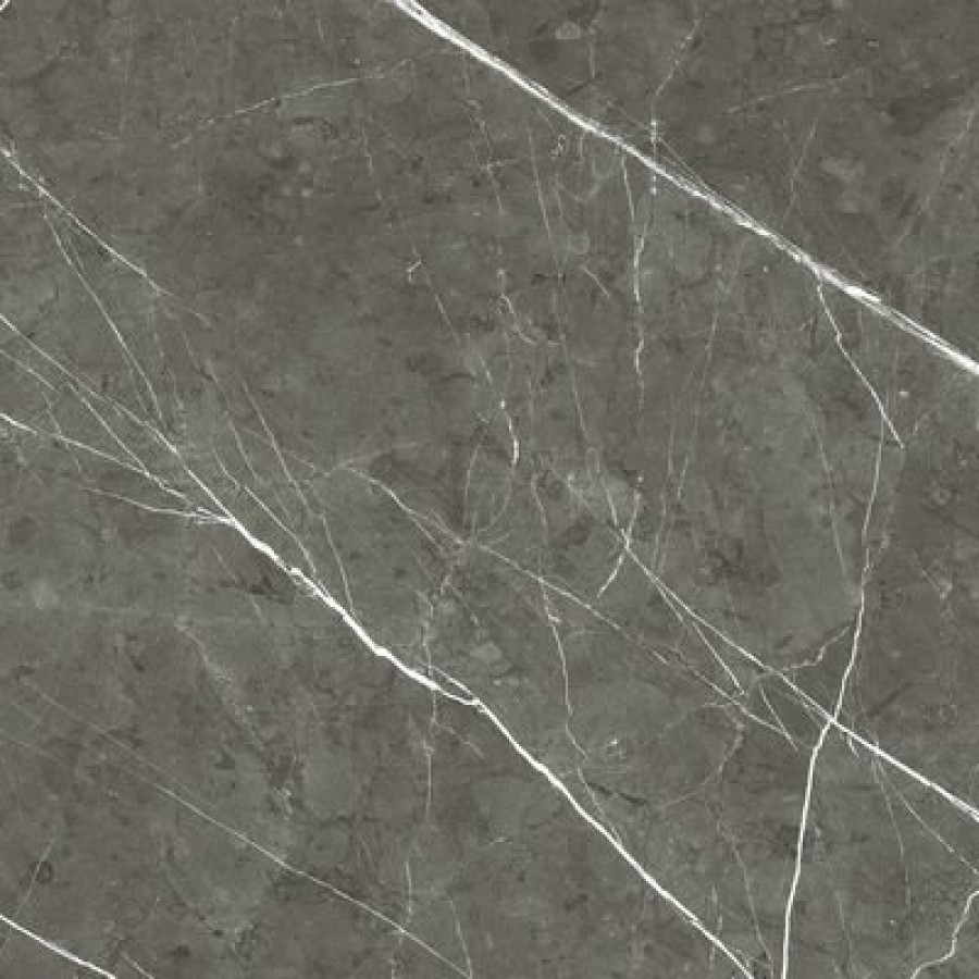 Плитка Rex Ceramiche 60x60 9мм Prexious Rex Charming Amber Mat R 755863 матовая темно-серый мрамор Плитка Rex Ceramiche 60x60 9мм Prexious Rex Charming Amber Mat R 755863 матовая темно-серый мрамор